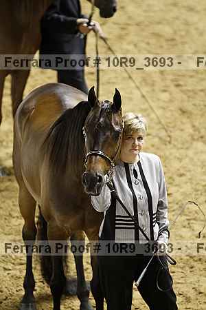 Proof 10r9_3693