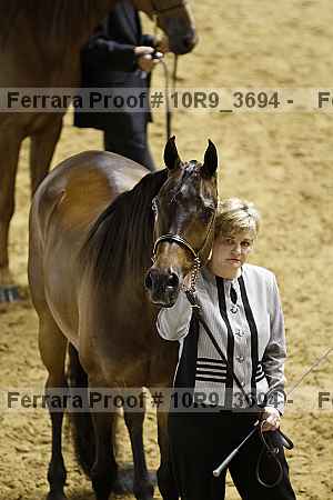 Proof 10r9_3694