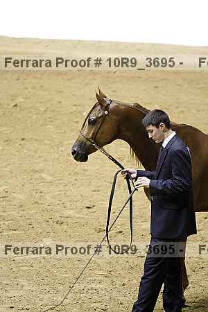 Proof 10r9_3695