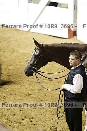 Proof 10r9_3696