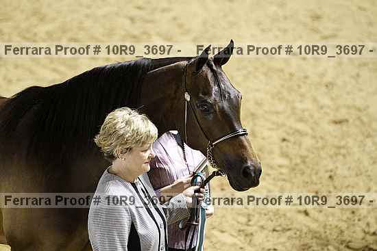 Proof 10r9_3697