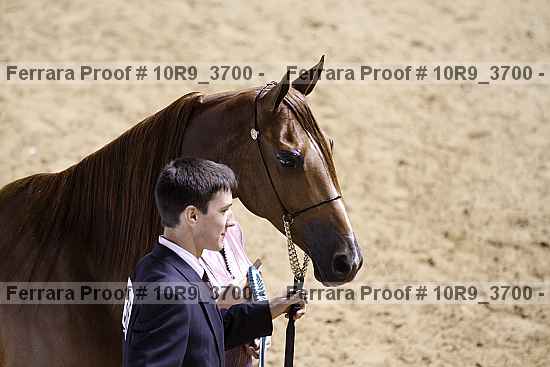 Proof 10r9_3700