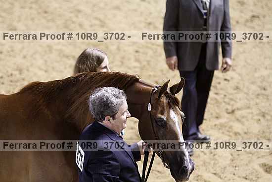 Proof 10r9_3702