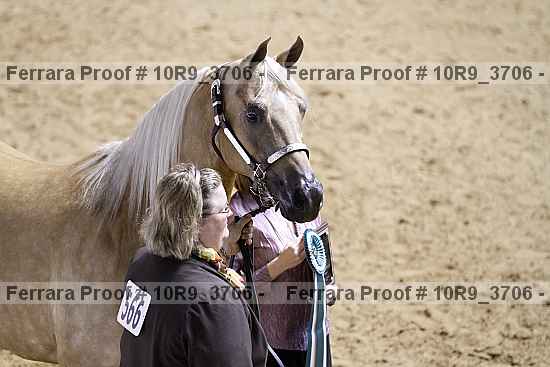 Proof 10r9_3706