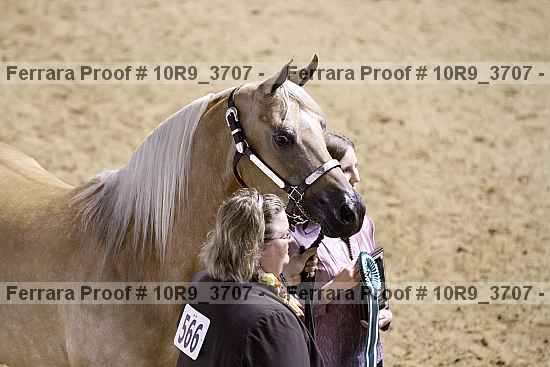 Proof 10r9_3707