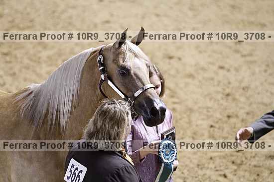 Proof 10r9_3708