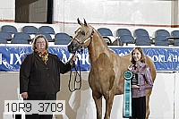 10r9_3709 proof