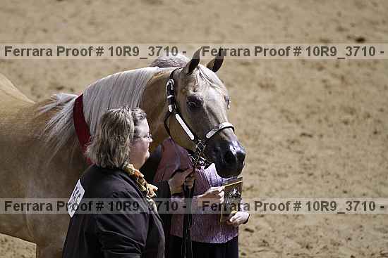 Proof 10r9_3710