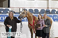 10r9_3712 proof