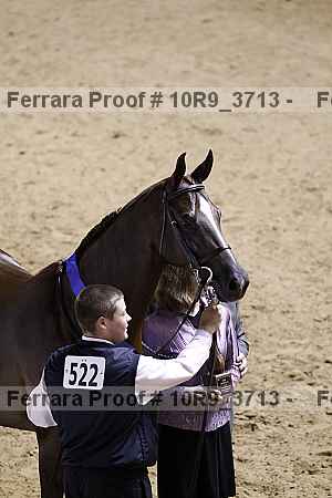 Proof 10r9_3713
