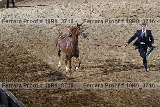 Proof 10r9_3716