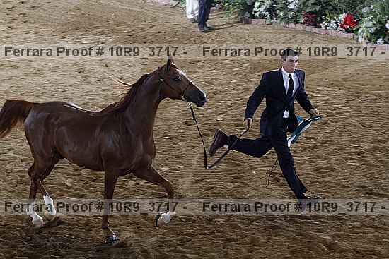 Proof 10r9_3717