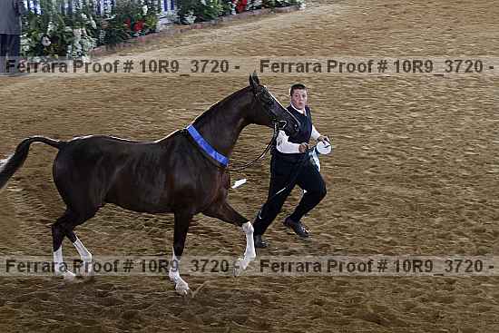 Proof 10r9_3720