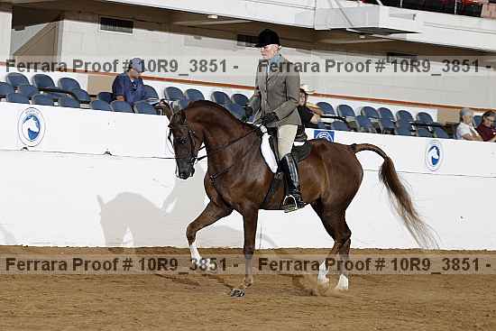 Proof 10r9_3851