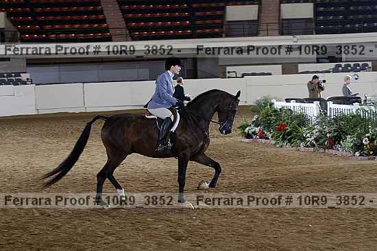 Proof 10r9_3852