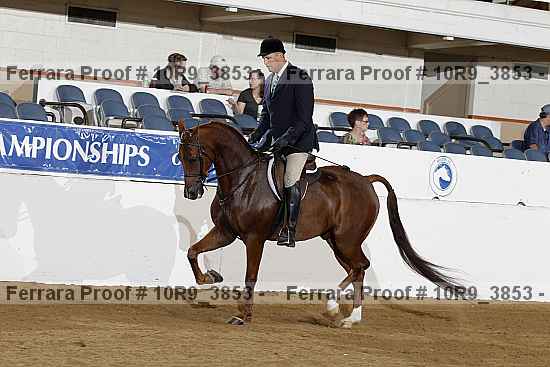 Proof 10r9_3853
