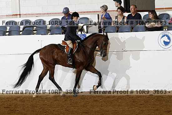 Proof 10r9_3863