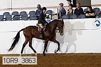 10r9_3863 proof