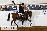 10r9_3866 proof