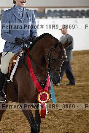 Proof 10r9_3869