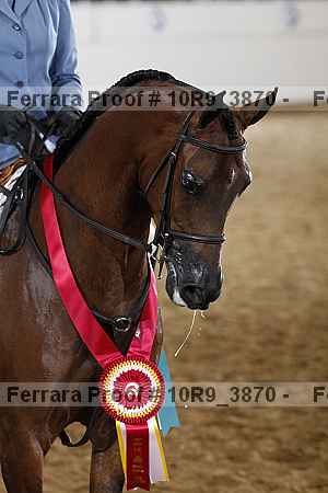 Proof 10r9_3870