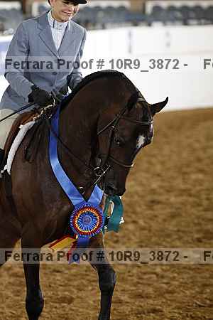 Proof 10r9_3872