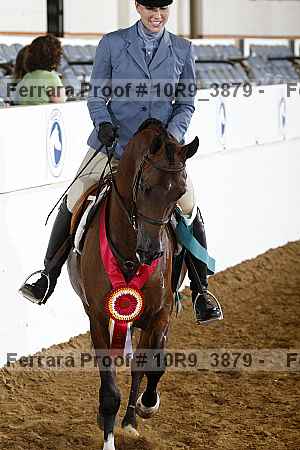 Proof 10r9_3879