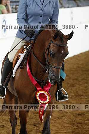 Proof 10r9_3880