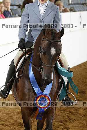 Proof 10r9_3883
