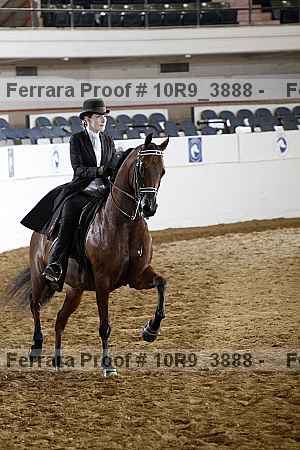 Proof 10r9_3888