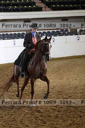 Proof 10r9_3892
