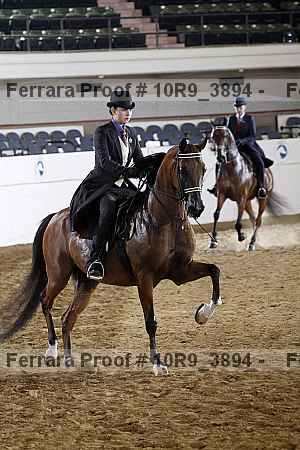 Proof 10r9_3894