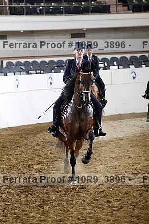 Proof 10r9_3896