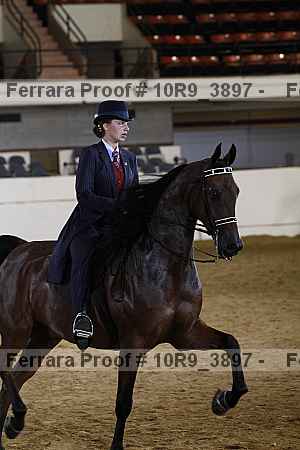 Proof 10r9_3897