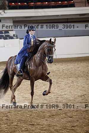 Proof 10r9_3901