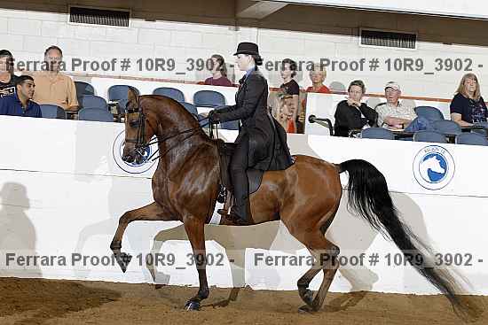 Proof 10r9_3902