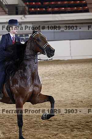 Proof 10r9_3903