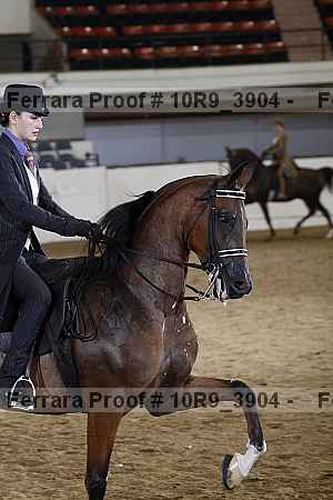 Proof 10r9_3904