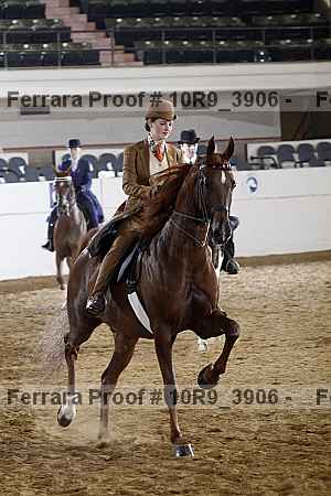 Proof 10r9_3906
