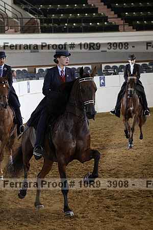 Proof 10r9_3908