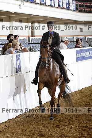 Proof 10r9_3910
