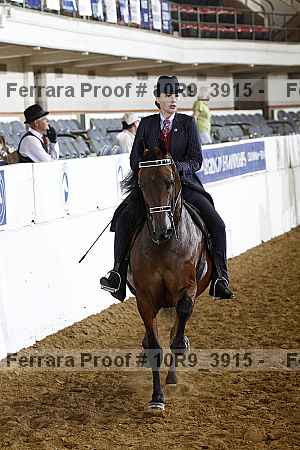 Proof 10r9_3915