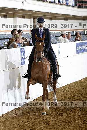 Proof 10r9_3917