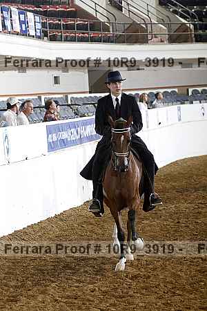 Proof 10r9_3919