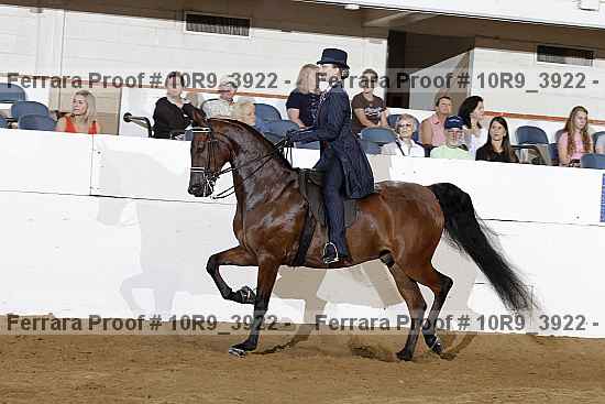 Proof 10r9_3922