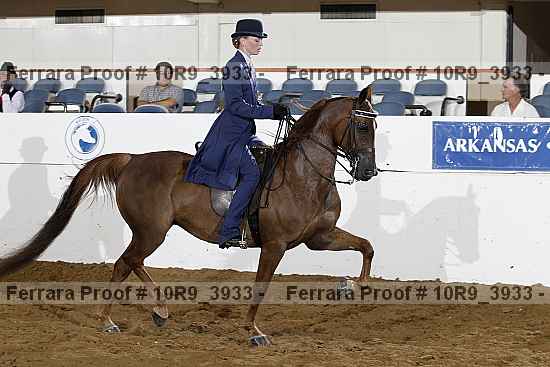 Proof 10r9_3933