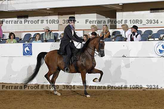 Proof 10r9_3934