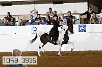 10r9_3935 proof