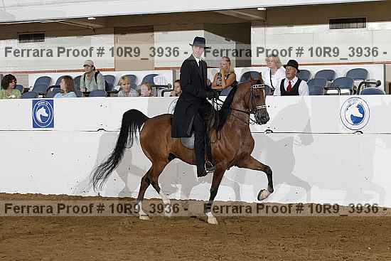 Proof 10r9_3936