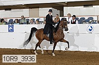 10r9_3936 proof